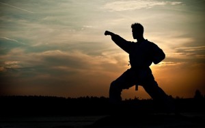 Furo Karate MMA Andrespol